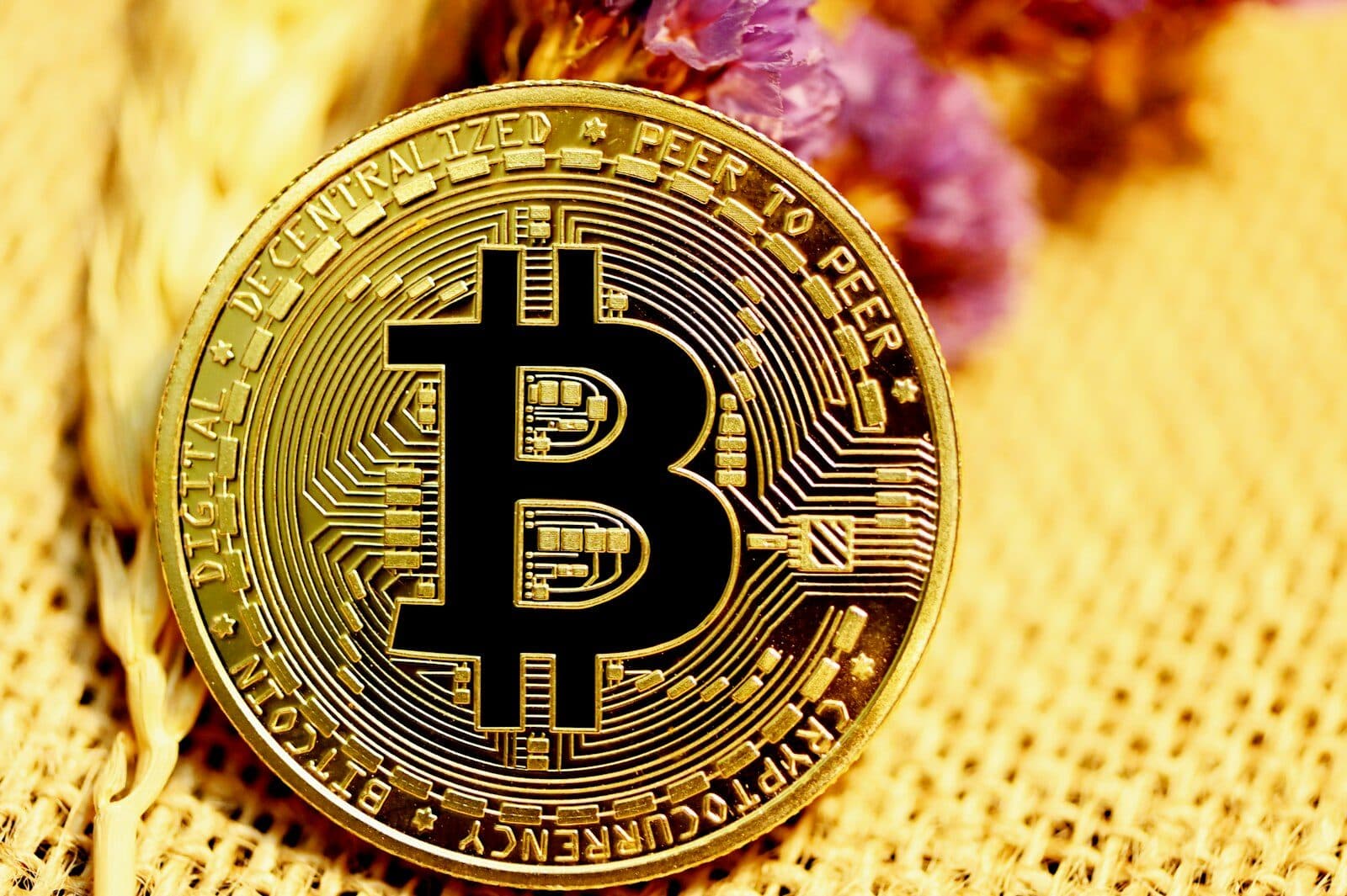 Designing crypto wallets for first-time users hero
